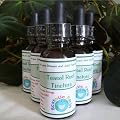 100% Organic Burdock Root, Sheep Sorrel, Slippery Elm & Turkey Rhubarb Root Tincture/Extract 1 Ounce
