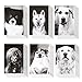 36 Pack Animal Postcards Bulk Set - Black & White Rescue Dog Portraits - 6 Assorted Compawssion Photograph Designs - 4 x 6 Inches