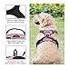 Rabbitgoo Dog Harness No-Pull Pet Harness Adjustable Outdoor Pet Vest Reflective Vest Harness for Large Dogs (Pink, L)