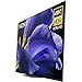 Sony XBR-65A9G 65-inch Master BRAVIA OLED 4K HDR Ultra TV (2019) Bundle with Deco Mount Flat Wall Mount Kit, Deco Gear Wireless Backlit Keyboard and Deco Gear 2X 4K Copper 6ft HDMI Cablethumb 4