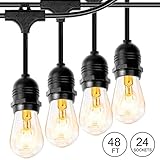 Phiersun LED Edison String Lights 48 Feet