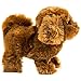 Puppy Plush Dog Toy for Kids - Puppy Toy,Walks, Barks - Battery Operated (Dark Brown)