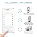 WiFi Smart Plug, Mini Socket Outlet Compatible with Amazon Alexa Echo and Google Home, Remote Control your Appliances by Smart Phone with Timing Function From Anywhere, No Hub Required, 2 Pack