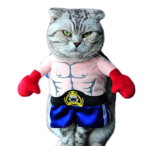 Alfie Pet by Petoga Couture - Kade the Boxer for Party Halloween Special Events Costume