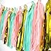 Party Decoration Kit 20 Pcs Mint Peach Glitter Gold Tissue Paper Pom Poms Flower Tissue Paper Hanging Tassels Polka Dot Paper Garlands for Baby Shower Wedding Nursery Bridal Shower