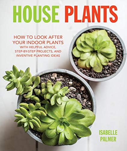 House Plants: How to look after your indoor plants: with helpful advice, step-by-step projects, and inventive planting ideas Hardcover – 6 Sept. 2016