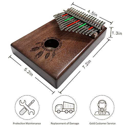 4 Portable+Instruction+Instruments+Feathers+Beginners