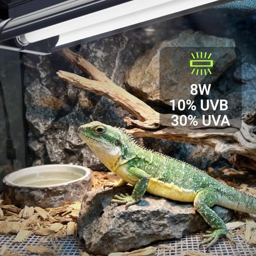 Jellybibo 8W T5 UVB Light Reptile Kit, 10% UVB & 30% UVA for Tropical Desert Reptiles, 31.5cm (12.4in) High Output Fixture with T5 10.0 UVB Tube for Bearded Dragon, Lizard, Tortoise & Gecko
