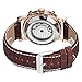 GLEIM Womens Wrist Watch, Classic Srystal Dial Auto-Winding Lady Dress Watch (Brown)