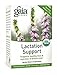 Gaia Herbs Lactation Support Organic Herbal Tea - Supports a Healthy Production of Breast Milk in Nursing Mothers* - With Goat’s Rue, Fenugreek, Marshmallow, and Nettle - 16 Caffeine-Free Tea Bags