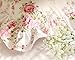 FADFAY Shabby Pink Rose Floral Print Pillowcases Elegant Country Style Vintage Lace Ruffles Bedding Pillow Covers Standared Size 19