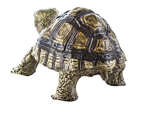 Safari Ltd  Incredible Creatures Tortoise