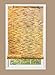 Radiance 0360726 Natural Reed Woven Light Filtering Roll Up Window Blind, 72-Inch Wide by 72-Inch High