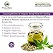 #1 Calming Treats for Dogs Anxiety, Stress Relief from Separation Anxiety, Natural Soft Chews & Calm Aid for Motion Sickness, Storms with Organic Hemp Oil, L-Tryptophan & Organic Chamomile |120 Soft