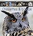 chouettes & hiboux by 