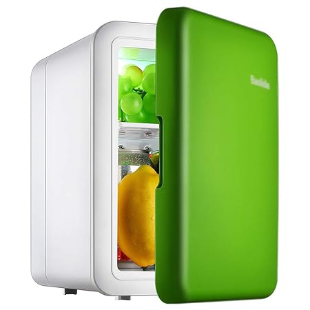 ADKINC Mini refrigerador y Calentador de refrigerador - 4 litros ...