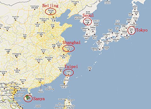 2 Dried+seafood+large+sized+abalone+Nanhai