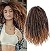 GX Beauty Marley Hair for Twists Afro Kinky Twist Crochet Hair 18Inch 3Packs Ombre Synthetic Kanekalon Braiding Hair Extensions(#1B/27)