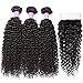 Flady Brazilian Virgin Kinky Curly Hair Bundles with Closure (16 18 20+14inch) 10a Unprocessed Brazilian Curly Weave Human Hair 3 Bundles with Closure