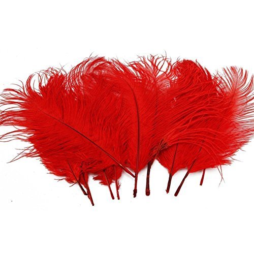 Hugestore 4-6 inch real natural ostrich feathers for we…