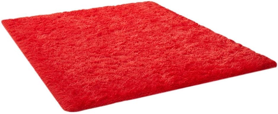 PICTURESQUE Shaggy Fluffy Rugs Anti-Skid Area Rug Dining Room Carpet Bedroom Floor Mat Red 160x120cm