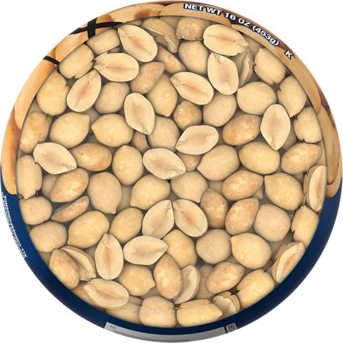 PLANTERS PEANUTS, DRY ROASTED PEANUTS, LIGHTLY SALTED SNACK MIX, SNACKS FOR ADULTS – 16 OZ. JARS, PACK OF 12 PLANTERS NUTS