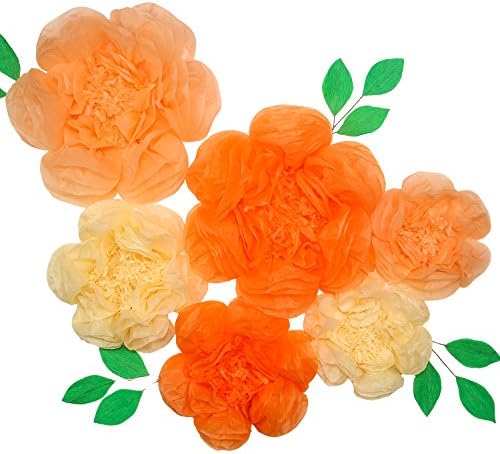 Tissue Paper Flowers (Set of 6) First Birthday Party, Flower Wall, Wedding Decorations, Cheap Wedding idea，Huge Paper Blooms，Baby Shower，Birthday Decorations，Backdrop Wallpaper
