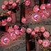 20 LED Rose Flower String Lights Wedding Garden Christmas Decor - Battery Operated Lamp string (pink)