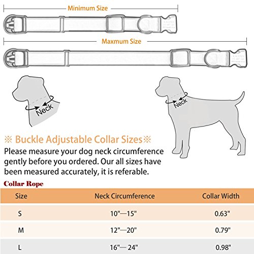 hipidog Personalized Dog Collar Waterproof with Laser Engraved Nameplate and ID Buckle, No Stink Collar, Odor and Rot Resistant Washable Dog Collar | Adjust from S/M/L Sizes (Orange-Buckle, M)