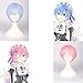 SaiDeng Wigs for Women Straight Short Wig for Cosplay Party Re Life in a Different World from Zero Rem Blue