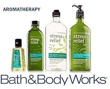 Bath Body Works Aromatherapy Gift Set Eucalyptus Spearmint Body Lotion Body Wash Foam Bath Massage Oil Small Sanitizing Hand Gel