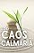 Livro Do Caos a Calmaria
