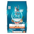 Purina ONE Tender Selects Blend With Real Chicken Dry Cat Food
