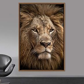signwin Framed Canvas Wall Art Lions Animals Chic...