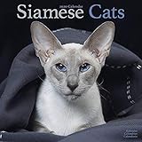 Siamese Cat Calendar - Calendars 2019 - 2020 Wall Calendars - Cat Calendar - Animal Calendar - Siame by