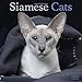 Siamese Cat Calendar - Calendars 2019 - 2020 Wall Calendars - Cat Calendar - Animal Calendar - Siame by