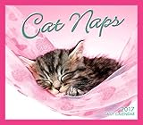 Cat Naps 2017 Boxed/Daily Calendar by