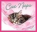 Cat Naps 2017 Boxed/Daily Calendar by