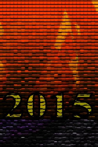 2015: Daily planner 6"x9" - The Wall