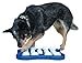 Nina Ottosson DogFinder Interactive game