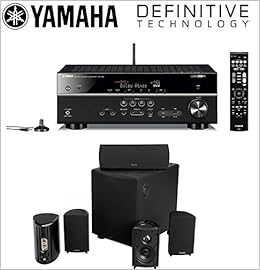 definitive technology promonitor 80