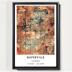 Naperville Map Poster, Illinois Map Art Poster, Map