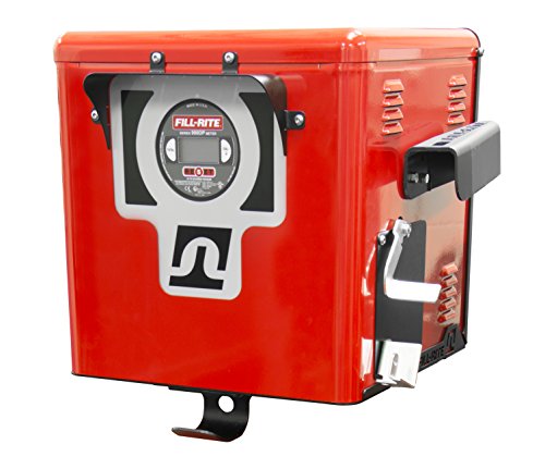 Fill-Rite FR302DP Cabinet Dispenser with Digital Meter and 300 Series Fuel Transfer Pump