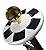 Solar Flag Pole Flagpole Light by Deneve - Brightest, Most Powerful, Longest-Lasting & Most Flag Coverage with Flagbeam Technology - LED Downlight for Most 15 to 25 Ft Flag Pole for Night Lighting