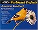 Workbench Projects: American Goldfinch (Wildfowl Carving Magazine Workbench Projects) by Wildfowl Carving Magazine, Victor Paroyan