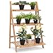 Giantex Bamboo Ladder Plant Stand, 3 Tier Folding Bamboo Plant Shelf, Foldable Flower Pot Display Shelf Rack, Multiple Plants Holder Organizer Storage Shelf for Indoor Outdoor Balcony Garden (Natural)