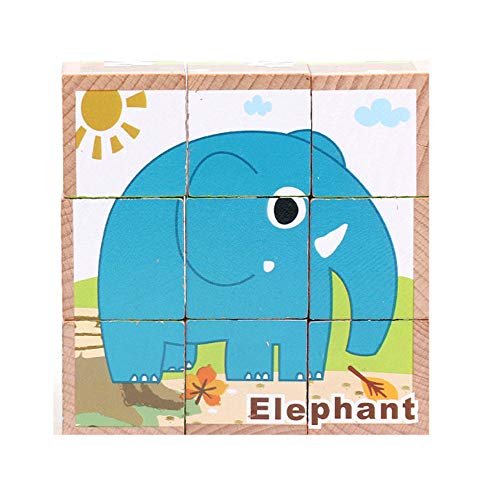 Hisoul Puzzle Toy Children Wooden 9 Blocks Six Sides Building Blocks Dimensional Puzzle Educational for 3-14 Years Old Children (E)
