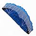 Besra Huge 102inch Dual Line Parachute Stunt Kite with Flying Tools 2.6m Power Parafoil Kites Outdoor Fun Sports for Beach & Park (102inch Blue)