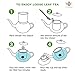 Teabloom - CLEARANCE SALE - MIGH-TEA Brewing Teapots for Iced Tea and Hot Tea, 2 Loose Tea Glass Infusers, 2 Glass Lids