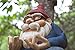 Twig & Flower The Ohm Gnome - 8.5